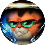 Dont Play with Kitty